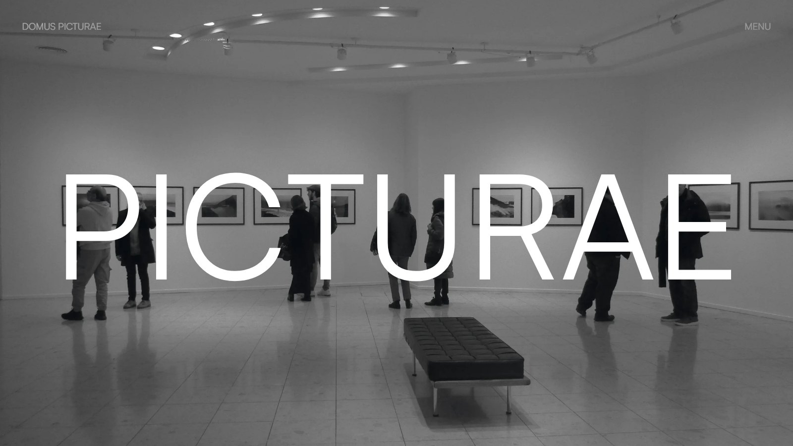 Domus Picturae — Site de galerie d’art